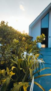 Samadelle Studio Sanur
