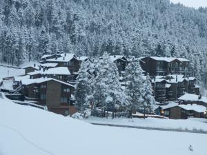 Apartamentos Masella 1600