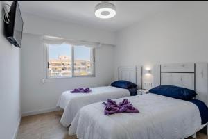 Apolo lV Nuevo con Piscina