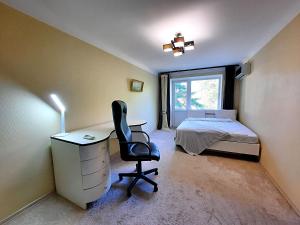 Один каштан Мережа Alex Apartments Безконтактне заселення 24-7