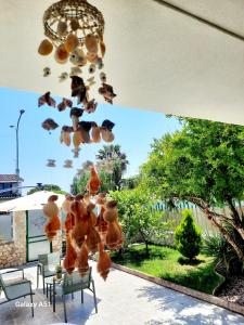 Casa Vacanze il Melograno