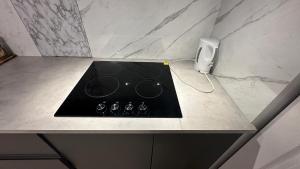 Large 1 bedroom fully furnished entire basement
