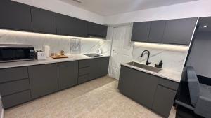 Large 1 bedroom fully furnished entire basement