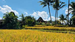 Villa Neyang