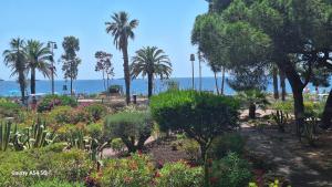 Appartement vue mer