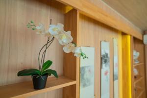 Namba LiveHouse - Room 601