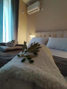 Villa ArGia with private pool