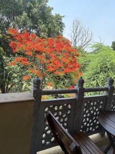 Studio Apartment, Nizamuddin East