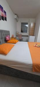 Maca apartman 23
