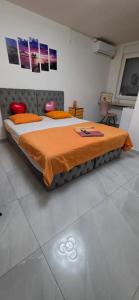 Maca apartman 23