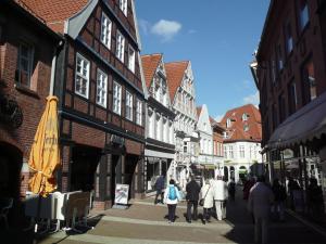 Premium-Ferienhaus Deichblüte im Feriendorf Altes Land