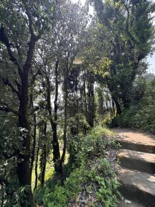 House of Meraki Mussoorie