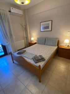 Olumpus Hestia Suite