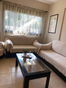 Olumpus Hestia Suite