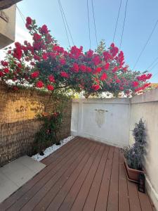 TXI Residence
