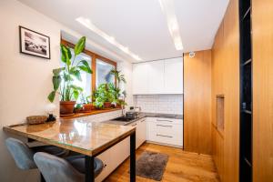 Nadwislanska 3 Premium Apartment Wawelofts