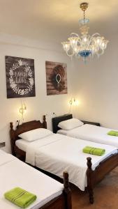 Hostel Backpacker