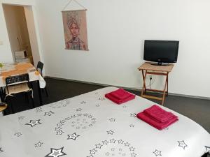 Studio Calea Victoriei 15A