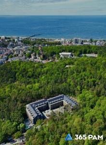365PAM - Apartament Sea & Forest - BASEN KRYTY I ZEWNĘTRZNY, JACUZZI, SAUNA, GARAŻ W CENIE
