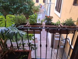 Ottaviano Style