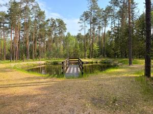 Stara Stodoła Leśnego Azylu Dom Bliźniaczy