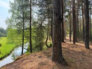 Stara Stodoła Leśnego Azylu Dom Bliźniaczy