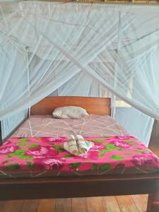 Bruno Raja Ampat Homestay