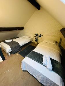 Albergue Bosquet