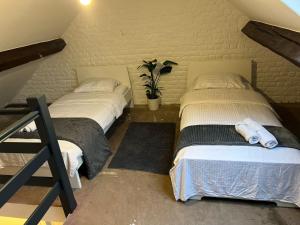 Albergue Bosquet