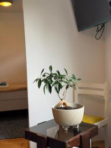 Nest apartman