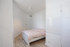 Basilica View Premium Studio Old Town