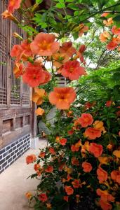 Naru Hanok stay