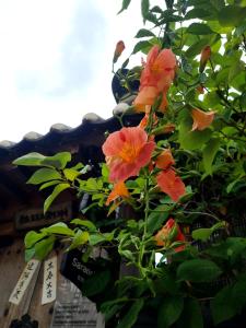 Naru Hanok stay