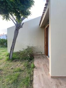 Casette Lizu de mari