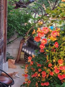 Naru Hanok stay
