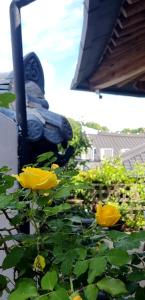 Naru Hanok stay