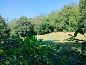 Villa Amabel immersa in un parco naturale tra Lecco e Como