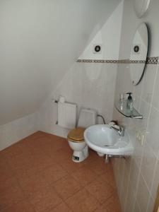 Kalnberzi