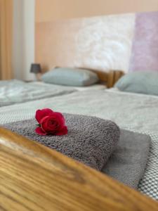 Apartmani Svetlica