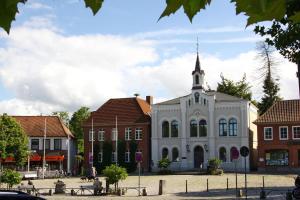 Unterkunft für Firmen in Oldenburg in Holstein, 1 Zi Apt, super zentral