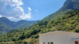 Bujtina Dalmacia 2