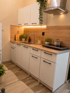 Warm Welcome Apartment - 15 mins to old town