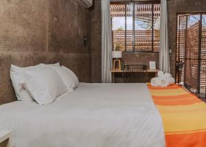 Outsite Todos Santos - Work, Connect, Explore