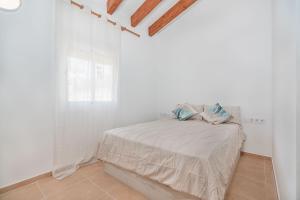 Pto Pollensa B1 Loft
