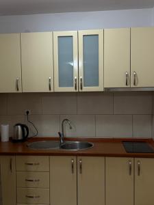 Apartman sa pogledom na more Budva