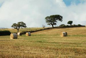 Casa d' Artista B&B img82