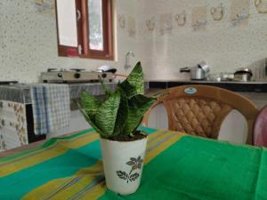 Tales of Guwahati 101- Independent 1BHK- AC ,200 extra for AC