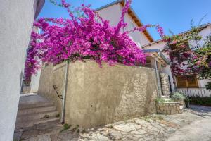 Bougainvillea Old Town Apartment w Terrace - Happy Rentals