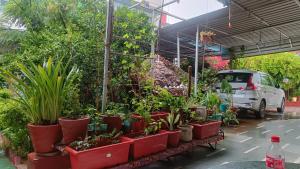 Mishras Homestay