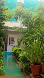 Mishras Homestay